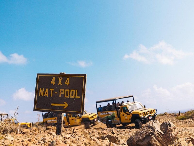 The 4X4 NAT-POOL sign on the track inside the park, with an open safari jeep turning past it