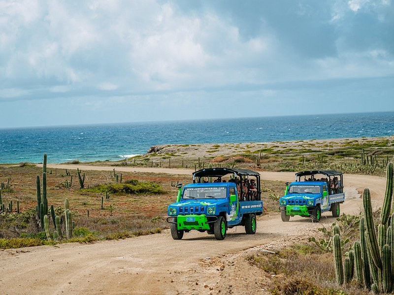 Two open safari jeeps stopped on a dirt road between cactus, with the windward sea behind them